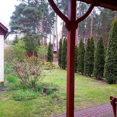 Drzewosfera Apartment Wilcze  ภายนอก รูปภาพ